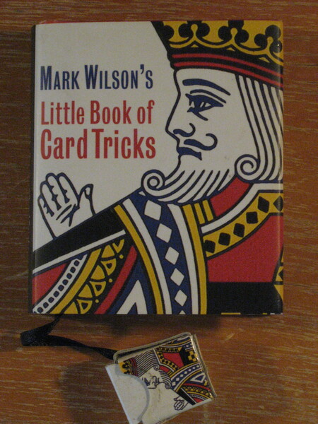 Mark Wilsons Little Book Of Card Tricks (Miniature Editions)