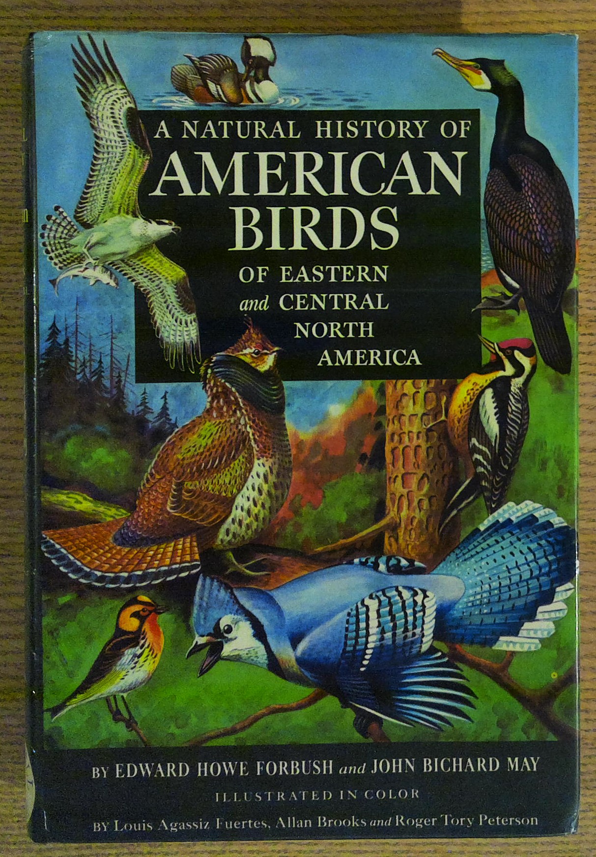 A Natural History of American Birds of Eastern and Central …