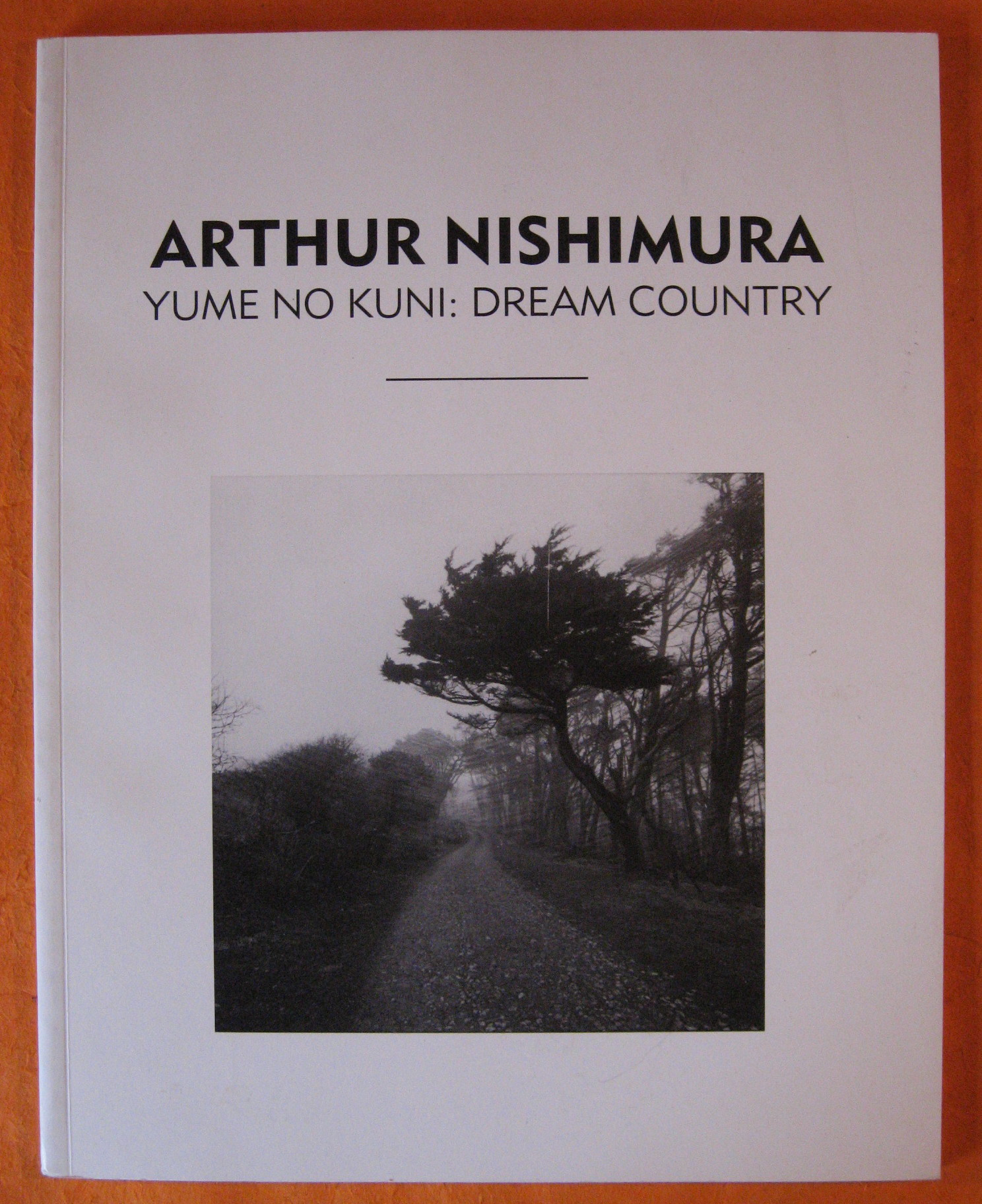 Arthur Nishimura Yume No Kuni : Dream Country