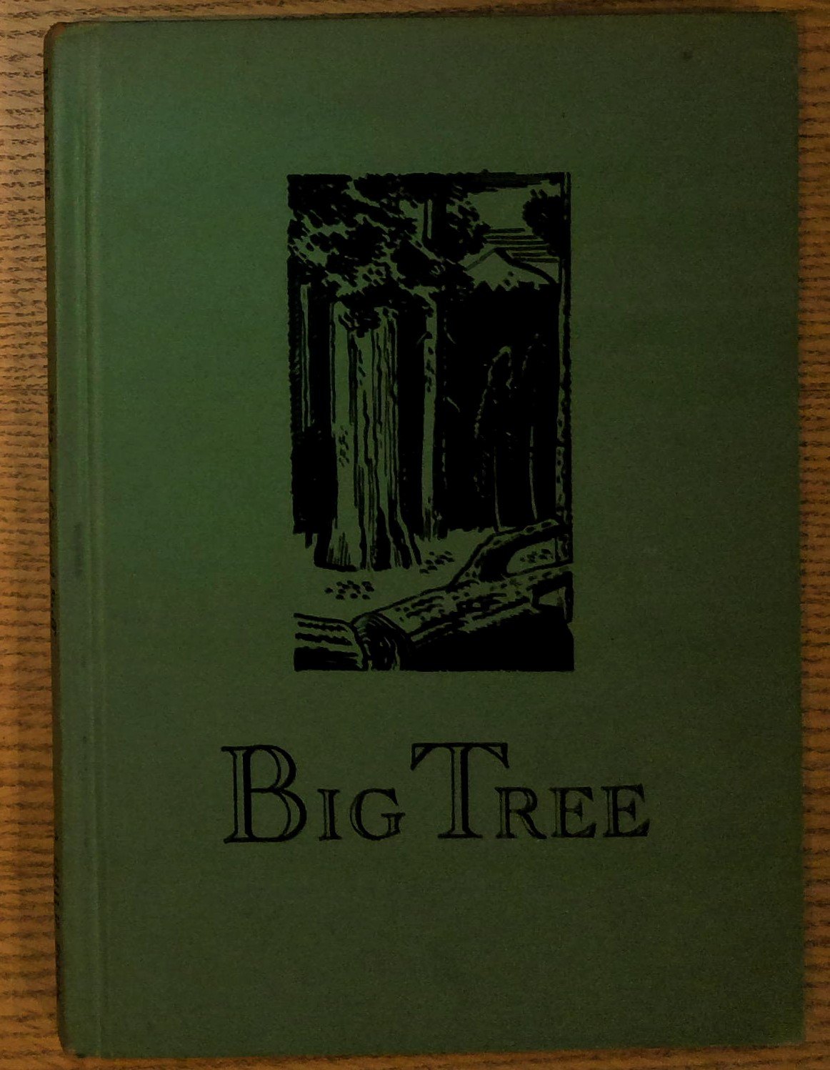 Big Tree