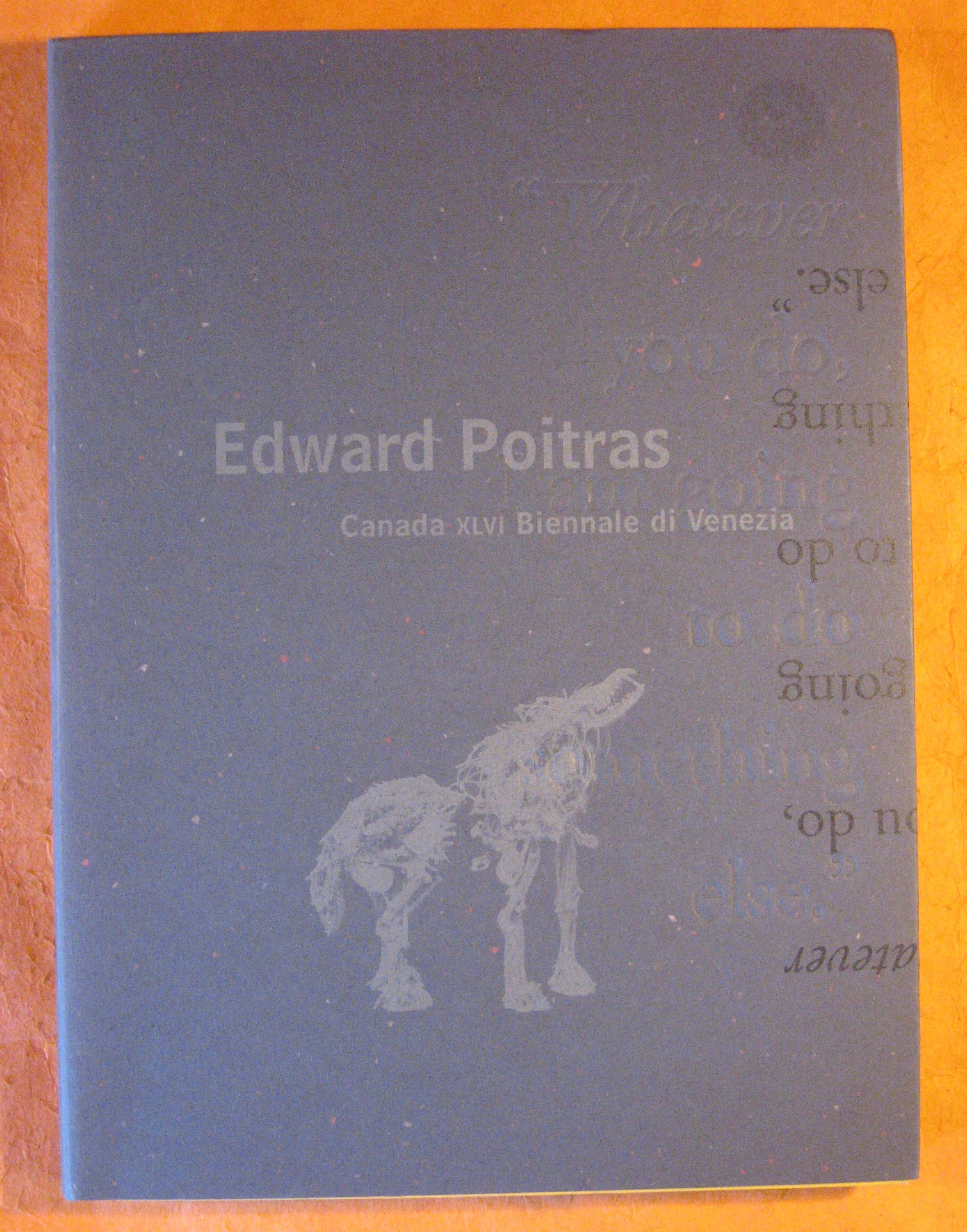 Edward Poitras: Canada XLVI Biennale di Venezia