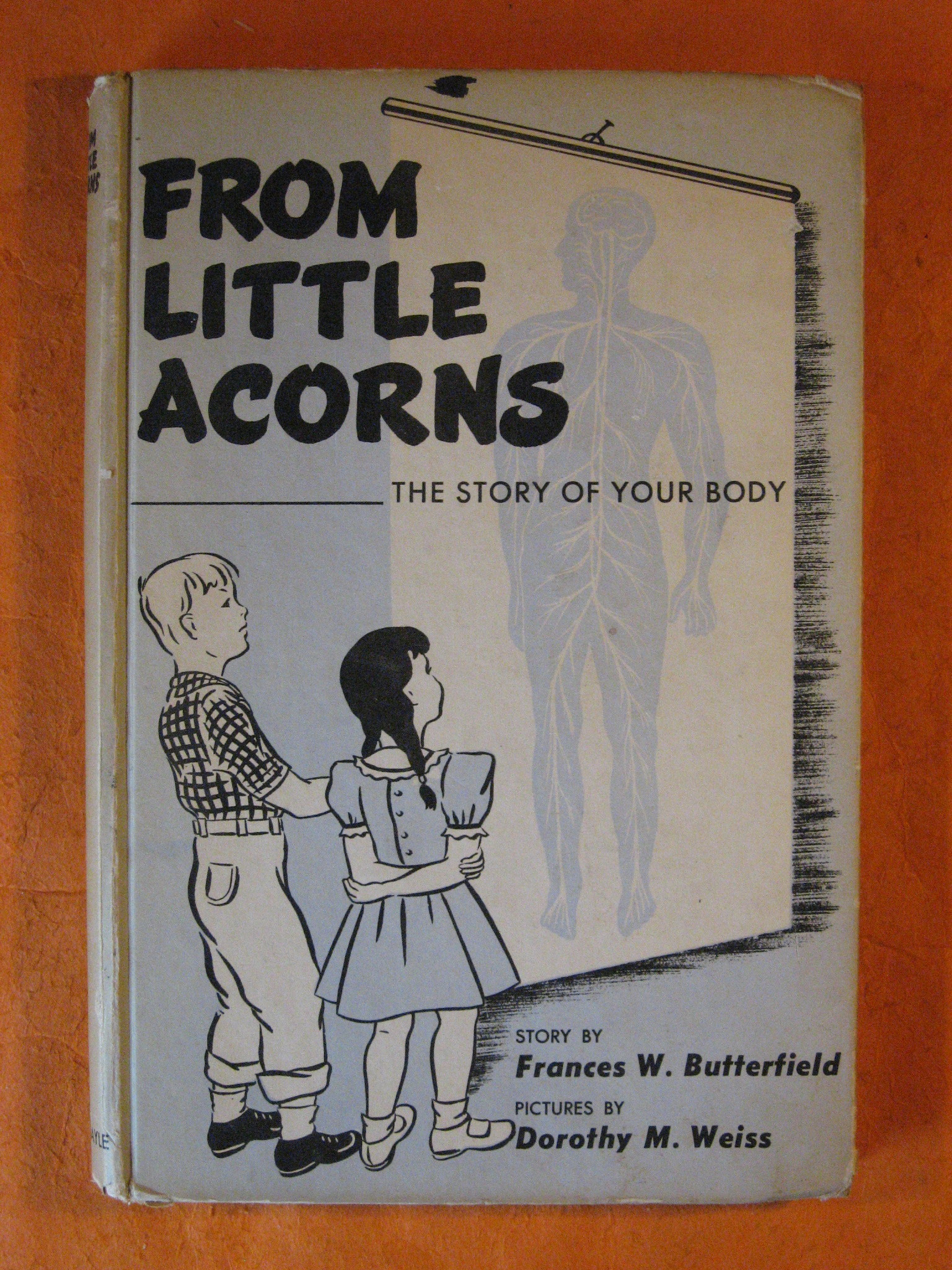 From Little Acorns: The Story of Your Body