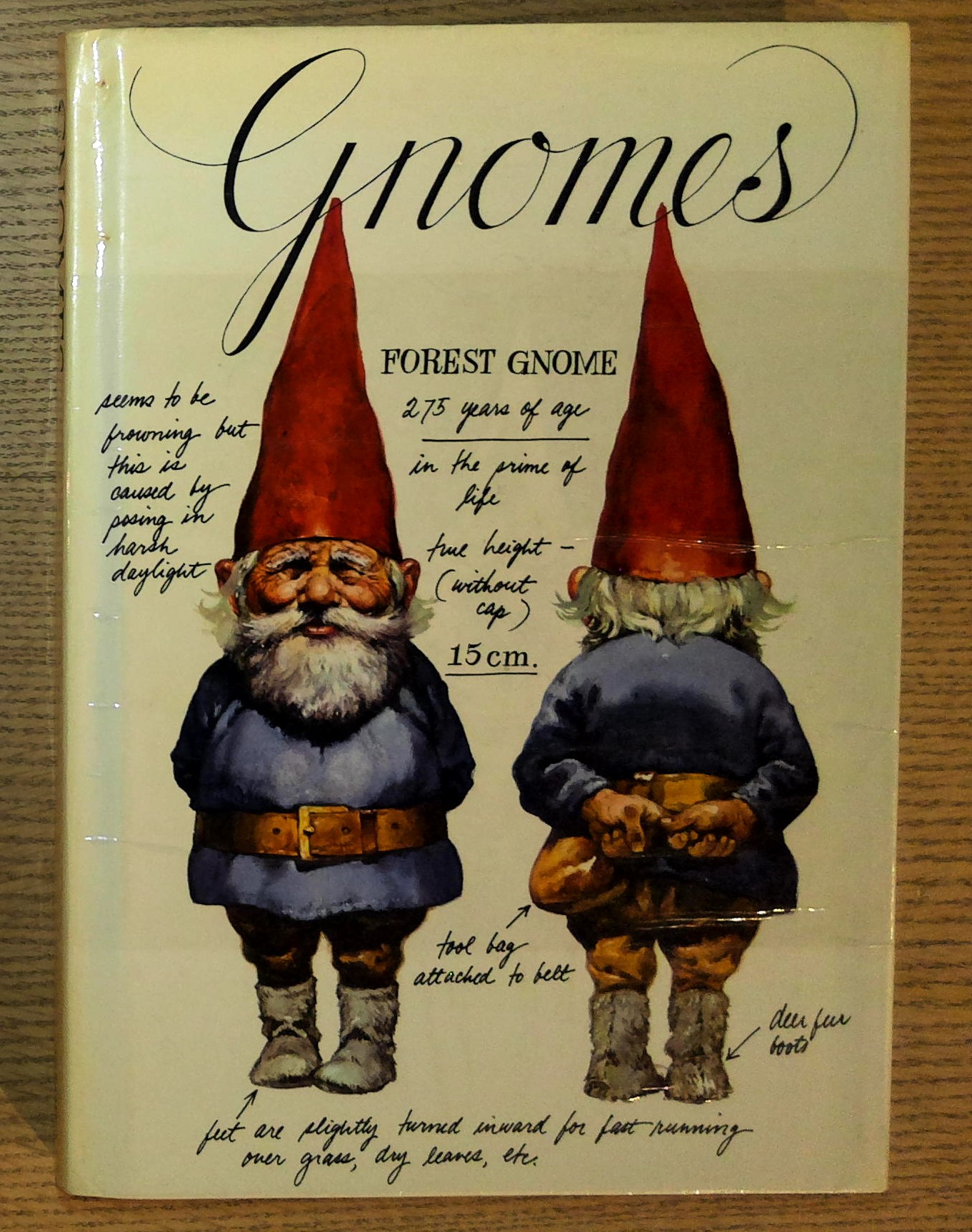 Gnomes