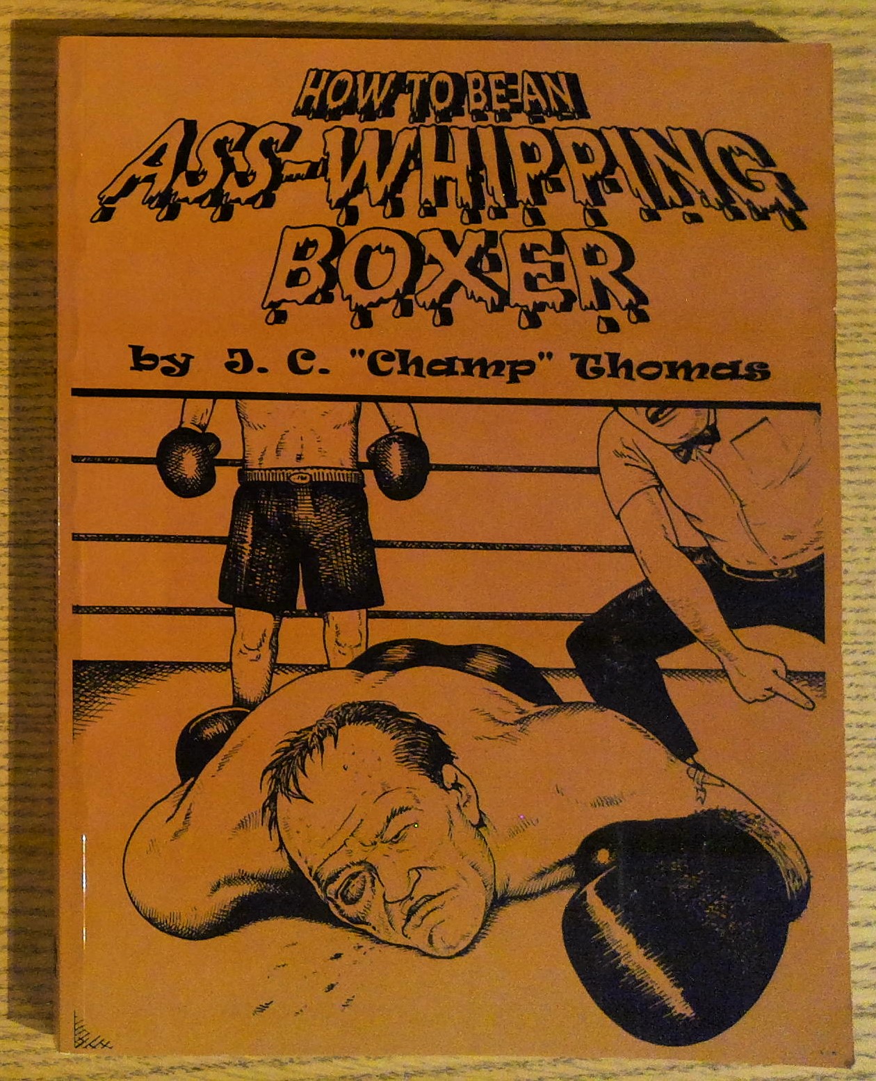 How to be an Ass-Whipping Boxer