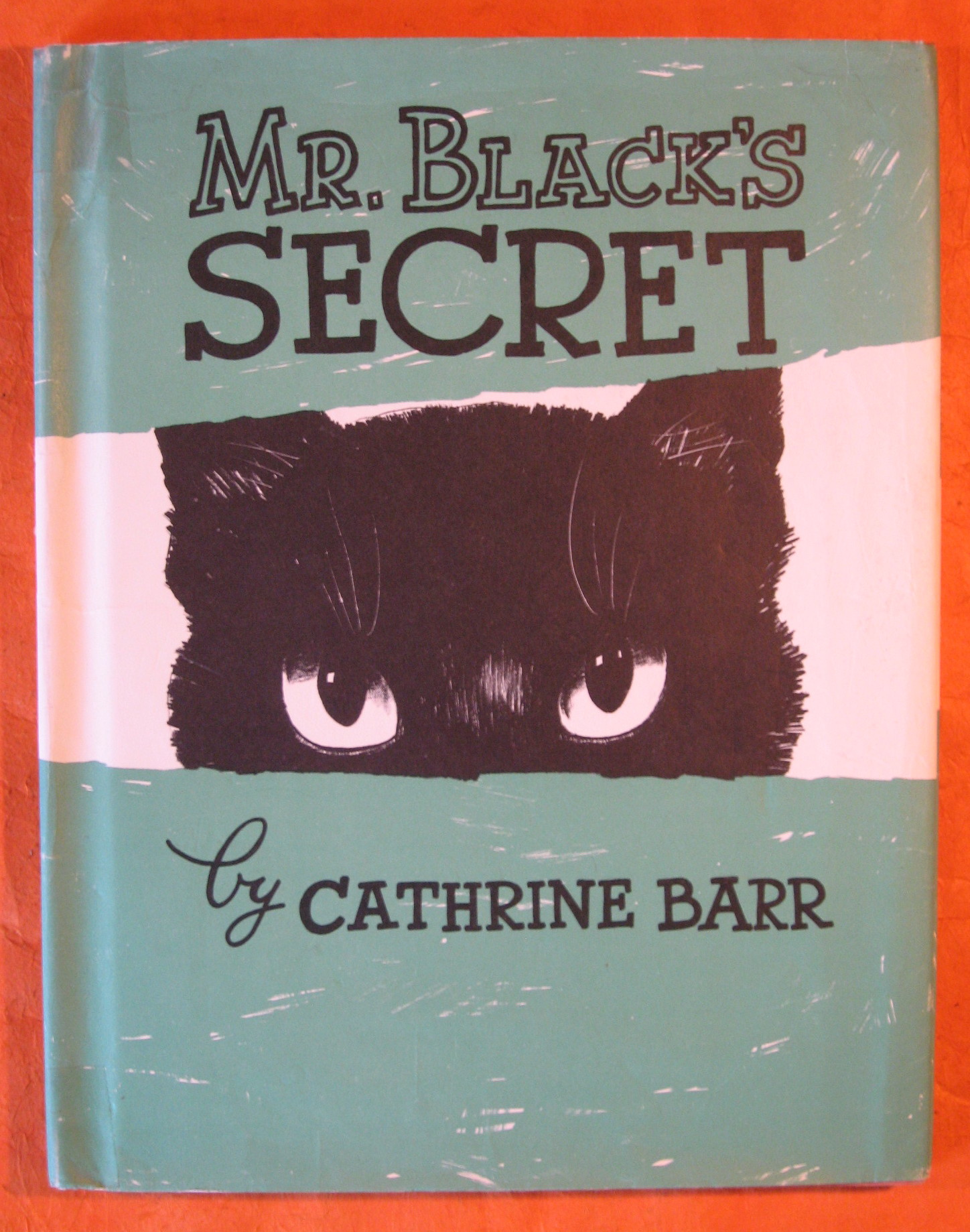 Mr. Black's Secret