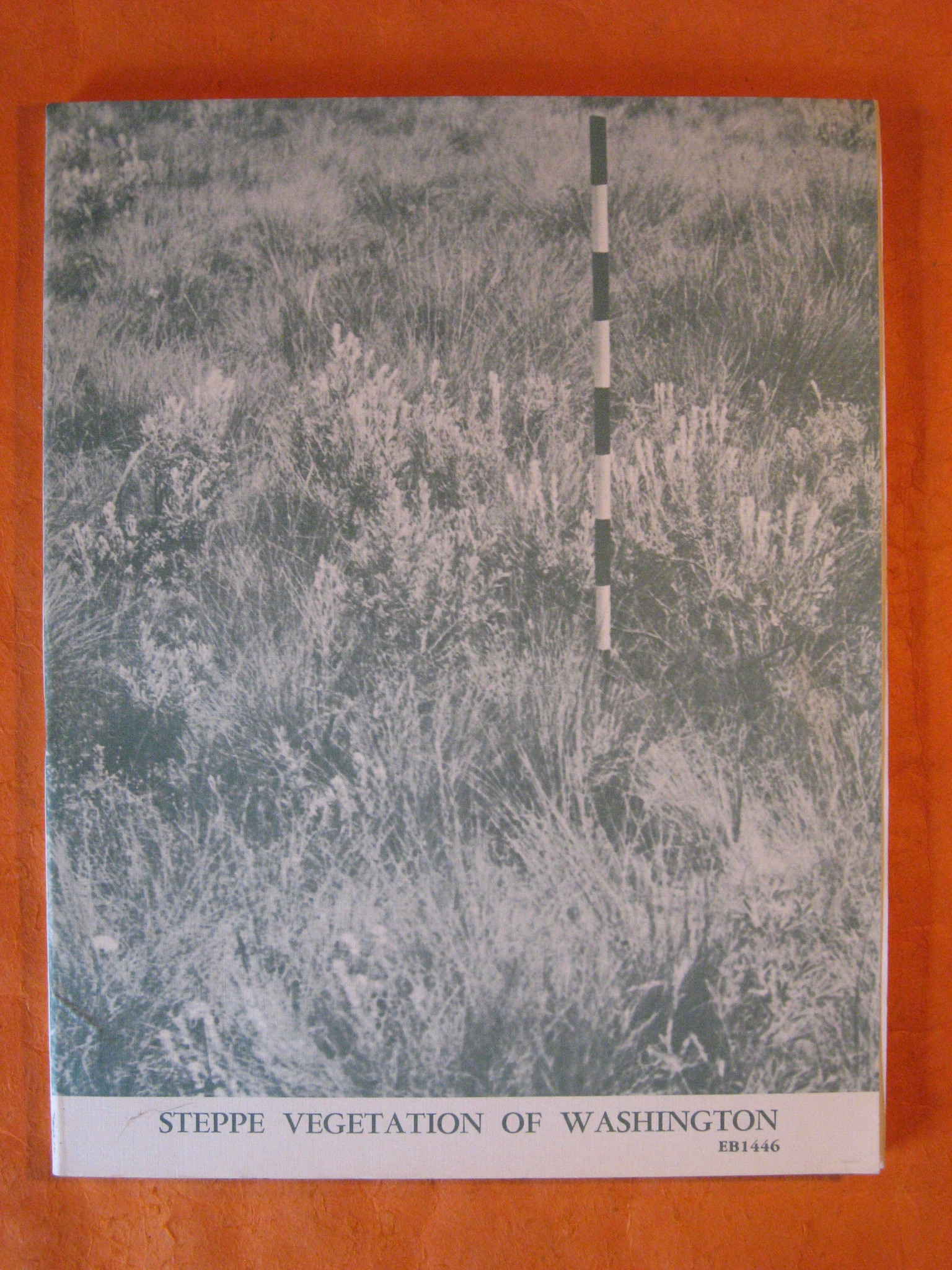 Steppe Vegetation of Washington