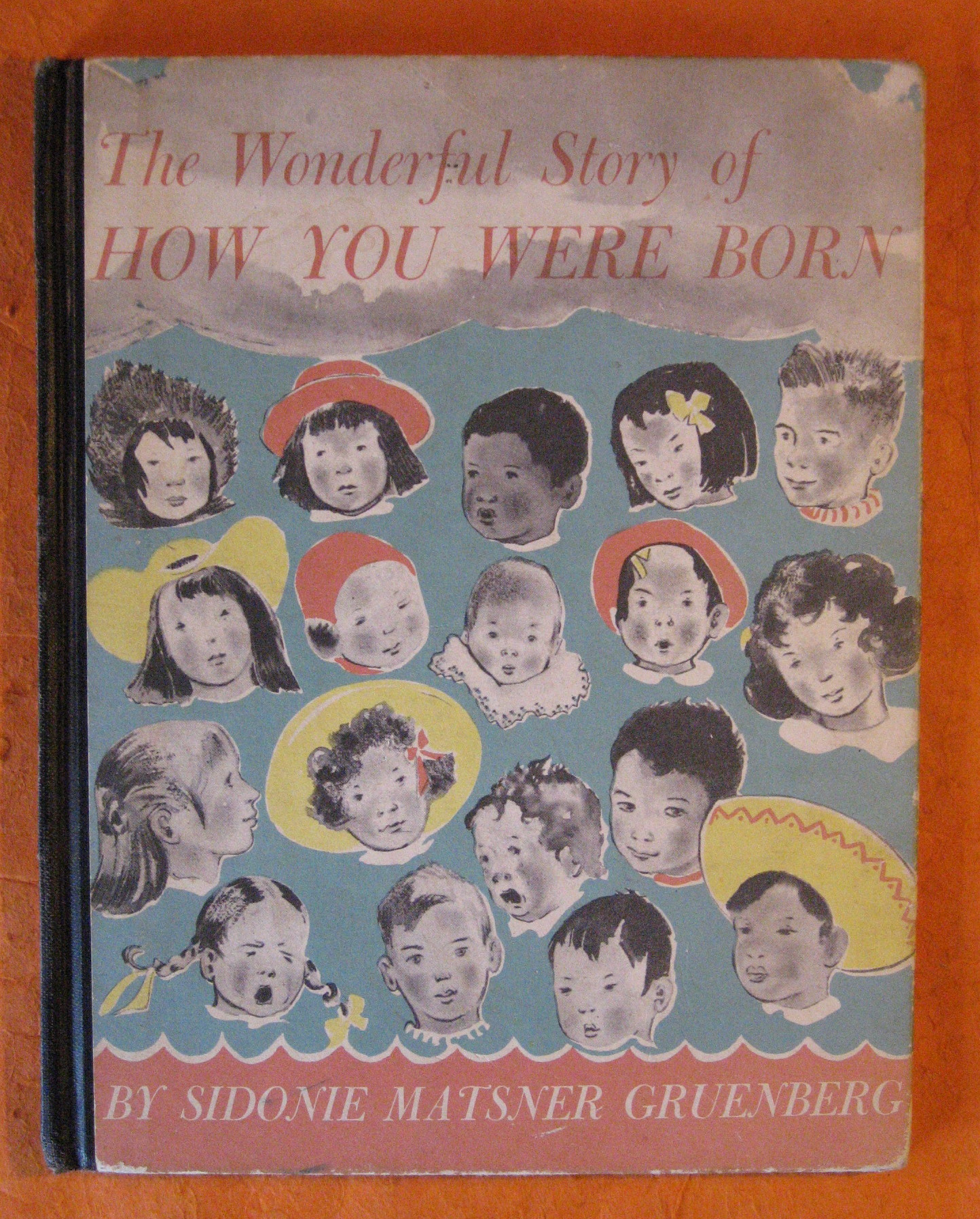 The Wonderful Story of How You Were Born