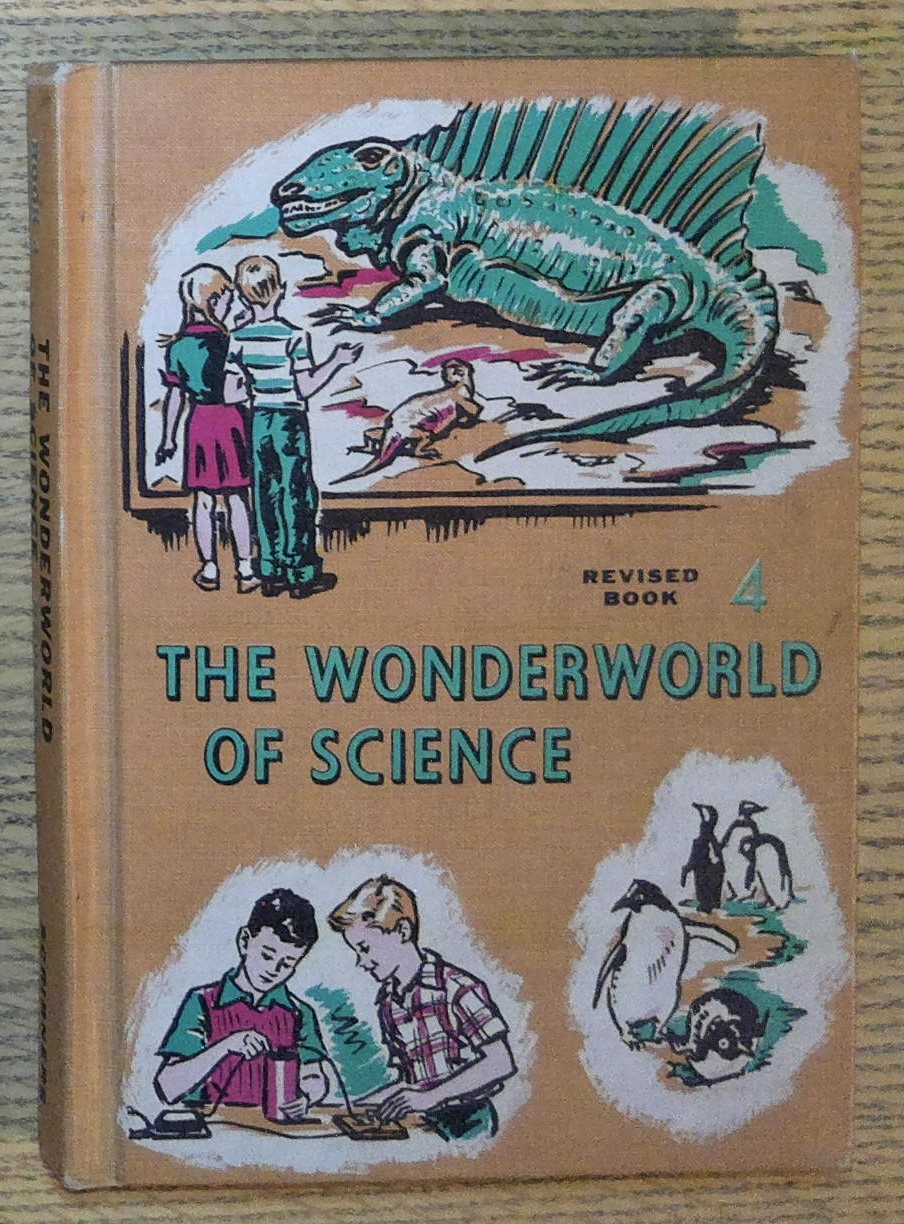 The Wonderworld of Science Book 4 (Revised)