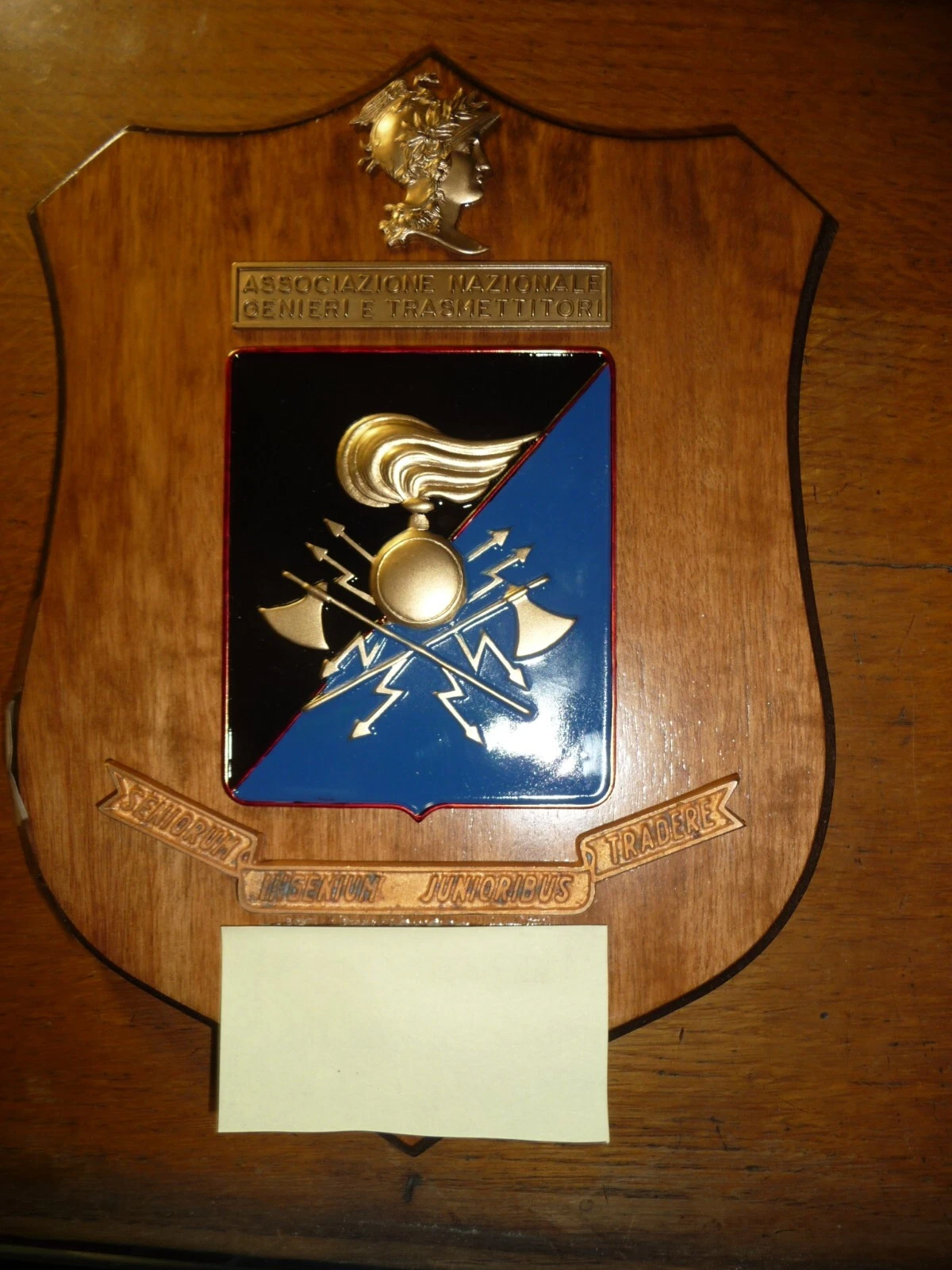 007 CREST EMBLEMA MILITARE ASS.NE NAZ. GENIERI E TRASMETTITORI SENIORUM …