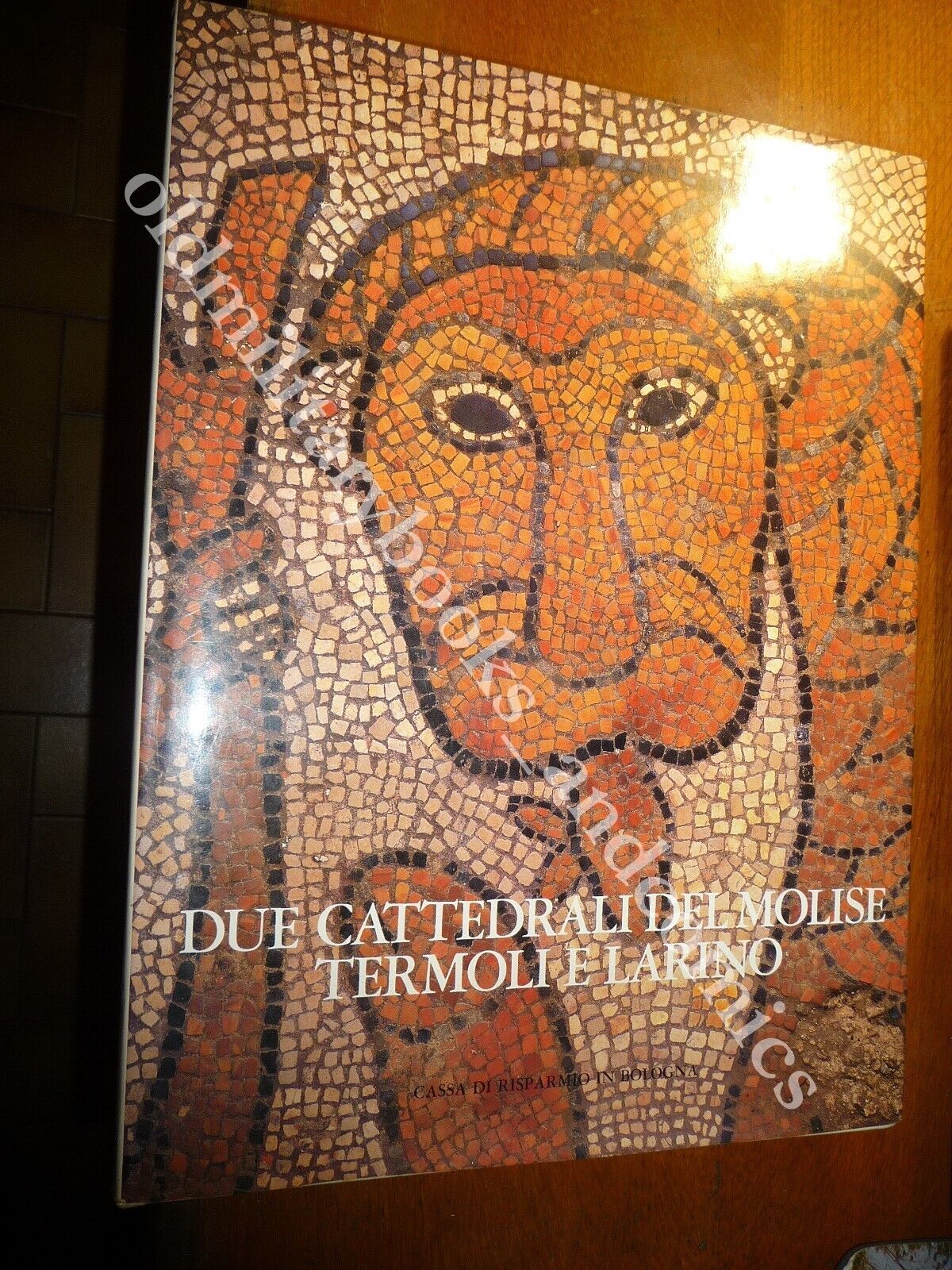 DUE CATTEDRALI DEL MOLISE TERMOLI E LARINO CALO' MARIANI MARIA …