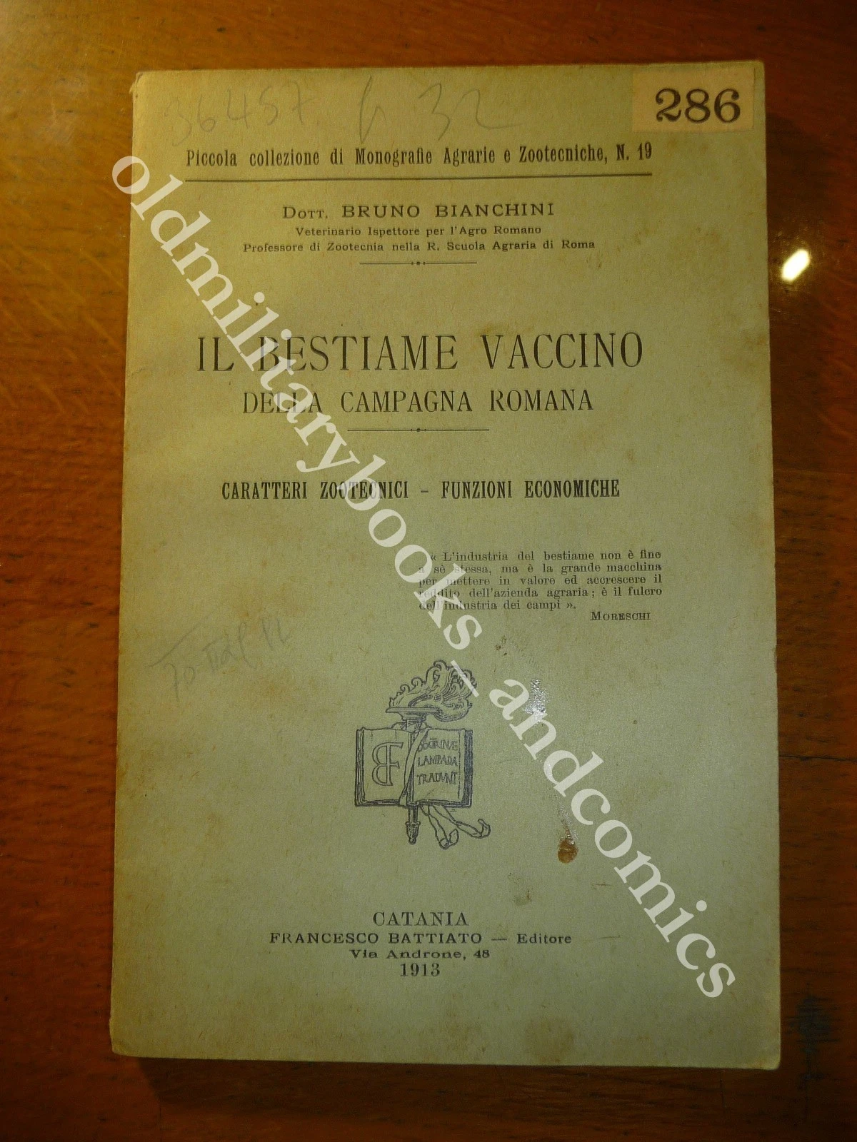 IL BESTIAME VACCINO DELLA CAMPAGNA ROMANA BRUNO BIANCHINI