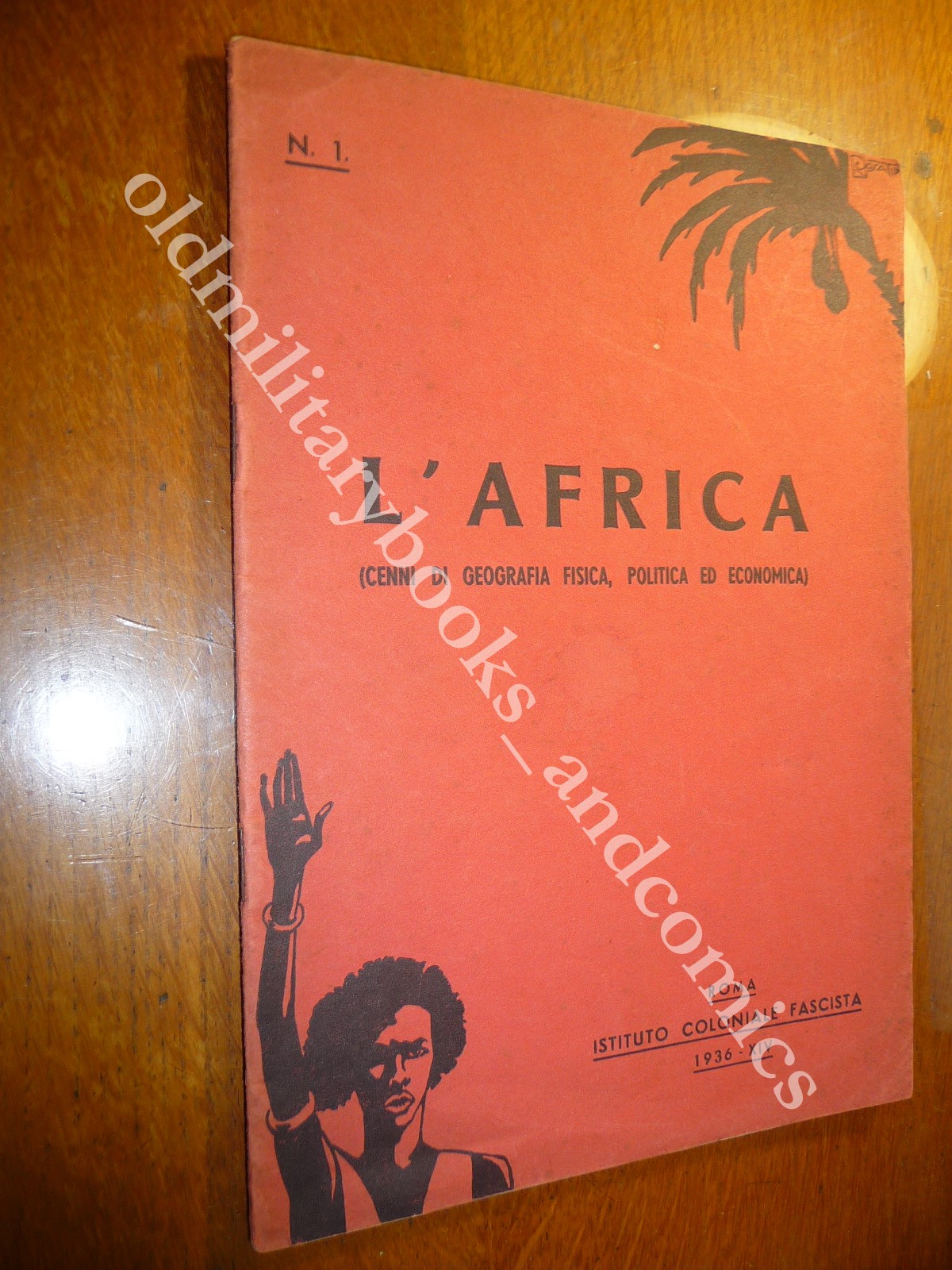 L'AFRICA CENNI DI GEOGRAFIA FISICA POLITICA ED ECONOMIA