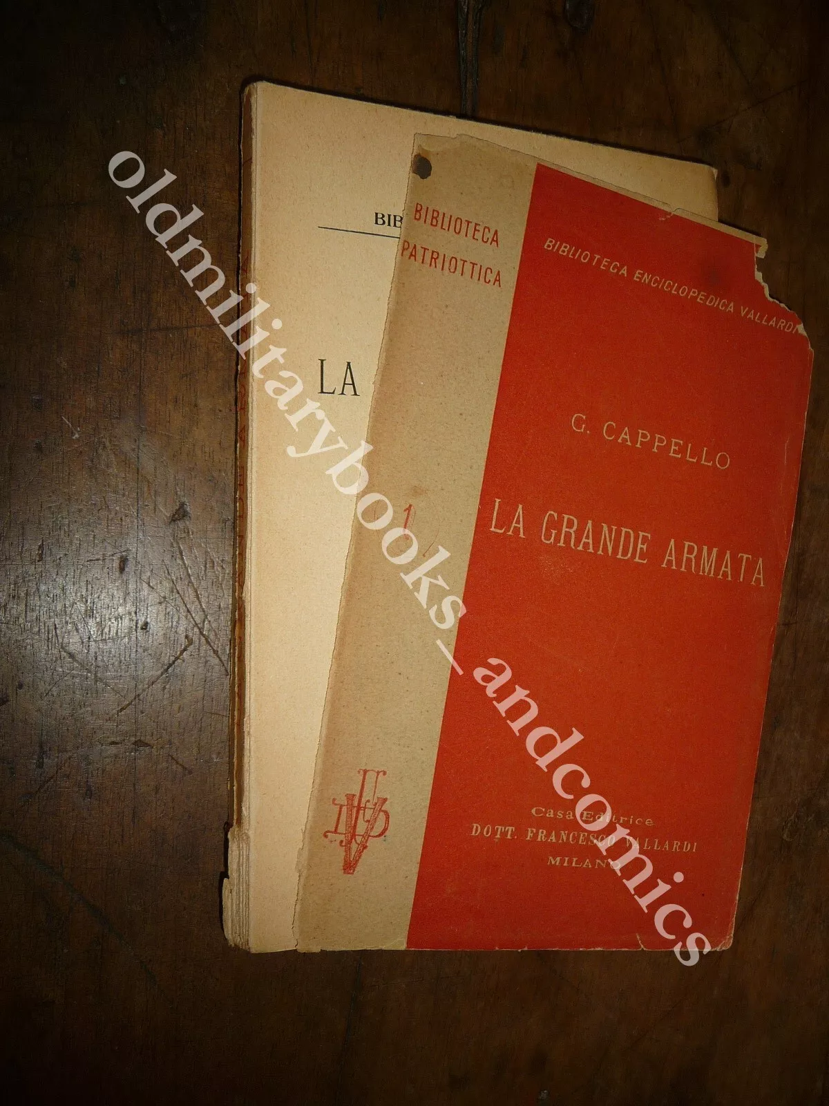 LA GRANDE ARMATA CAMPAGNA DI RUSSIA DEL 1812-13 G. CAPPELLO
