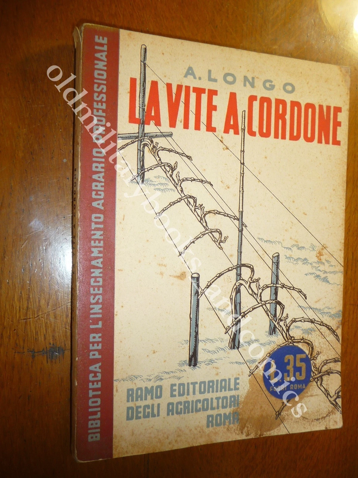 LA VITE A CORDONE A. LONGO