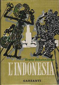 L'Indonesia