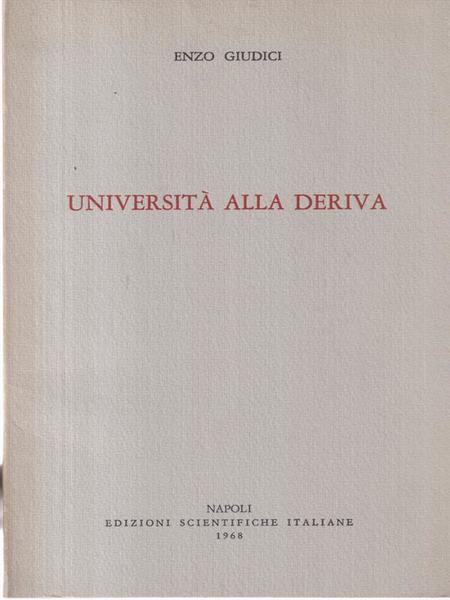 Universita' alla deriva