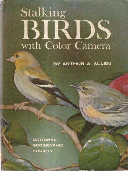 Stalking Birds With Color Camera
