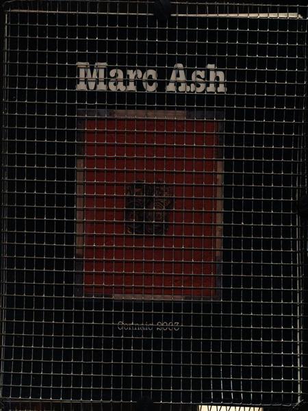 Marc Ash