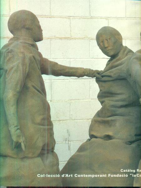 Catalog Raonat. Colleccio' d'Art Contemporani Fundacio 'La Caixa'. 2vv
