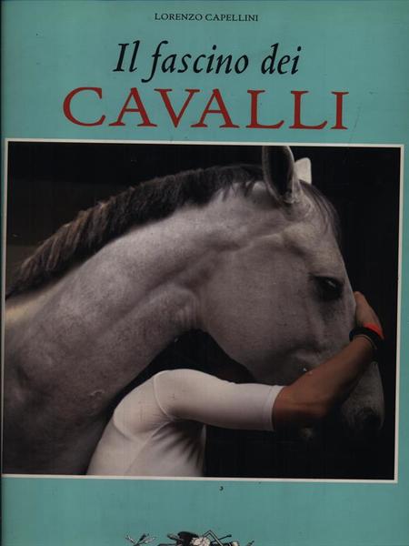 Il fascino dei cavalli