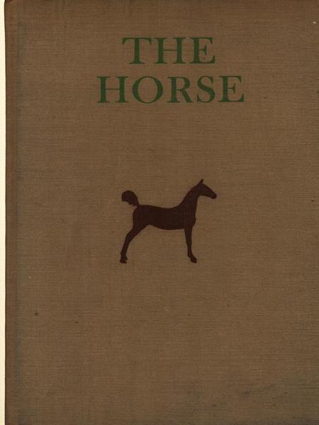 The horse
