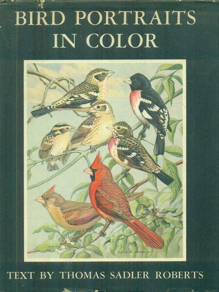 Bird portraits in color