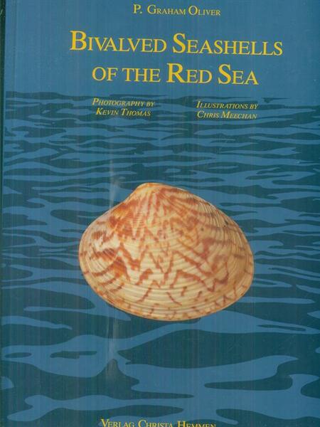 Bivalved seashells of the red sea
