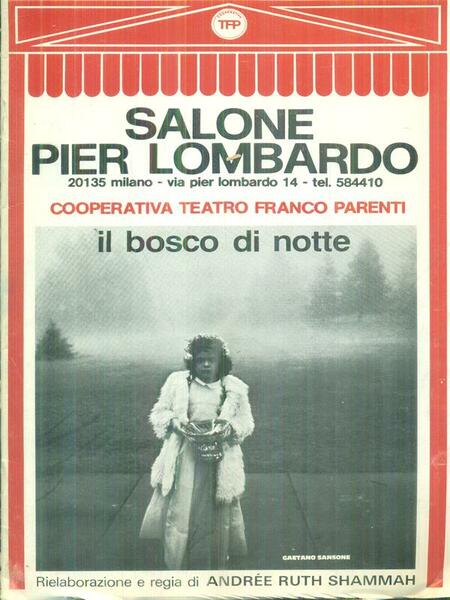 Il bosco di notte