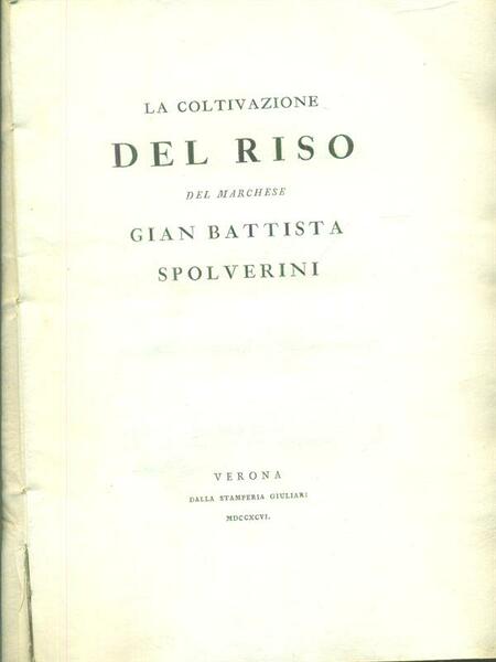La coltivazione del riso