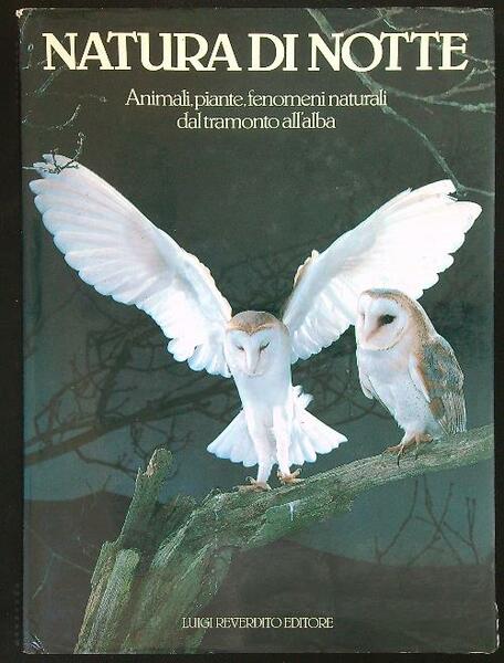 Natura di notte