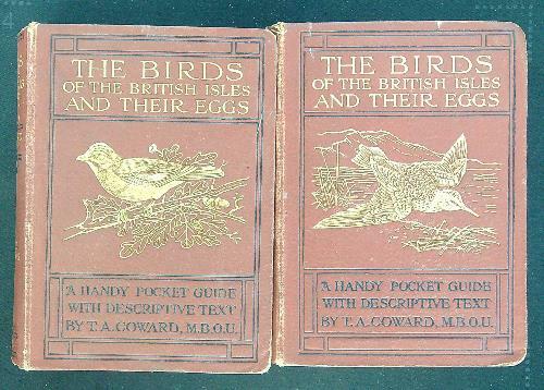 The birds on the british isles and their eggs 2 …