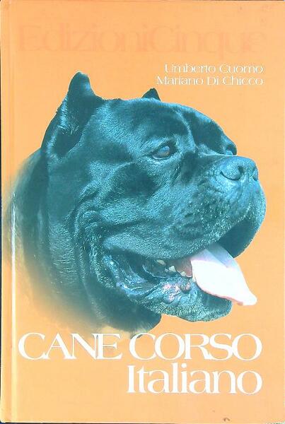 Cane corso italiano