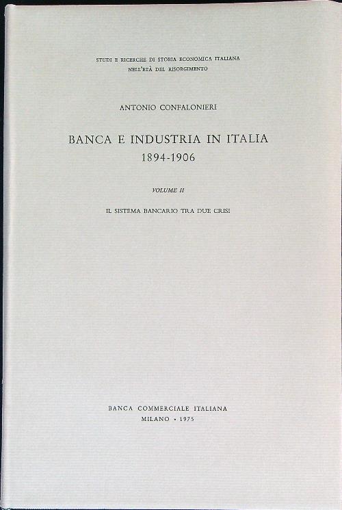 Banca e industria in Italia 1894-1906. Vol 2