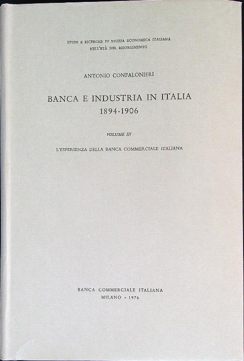 Banca e industria in Italia 1894-1906. Vol 3