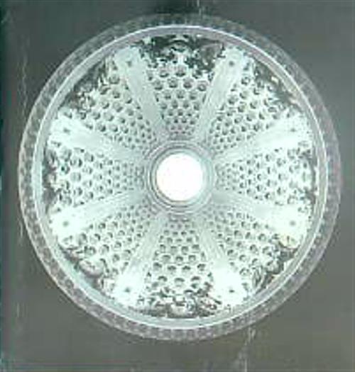 Bernini. Una Introduzione al Grande Teatro Barocco