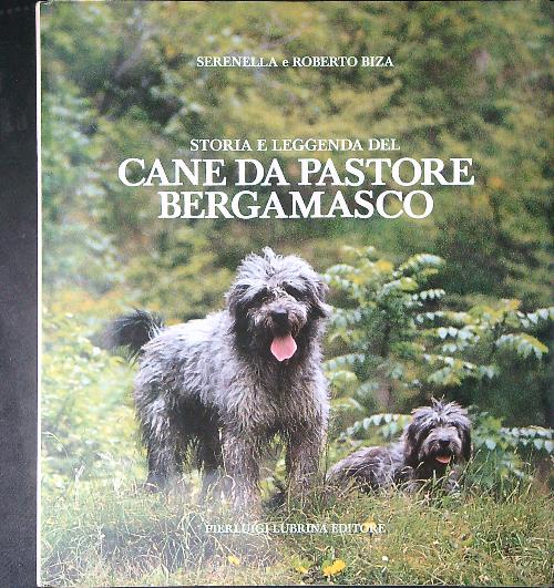 Cane da pastore Bergamasco