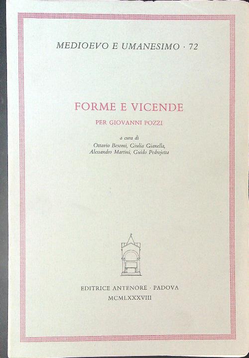 Forme e vicende per Giovanni Pozzi