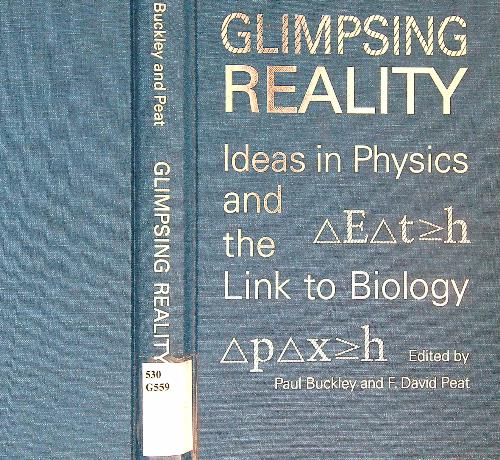 Glimpsing Reality: Ideas in Physics and the Link to Biology