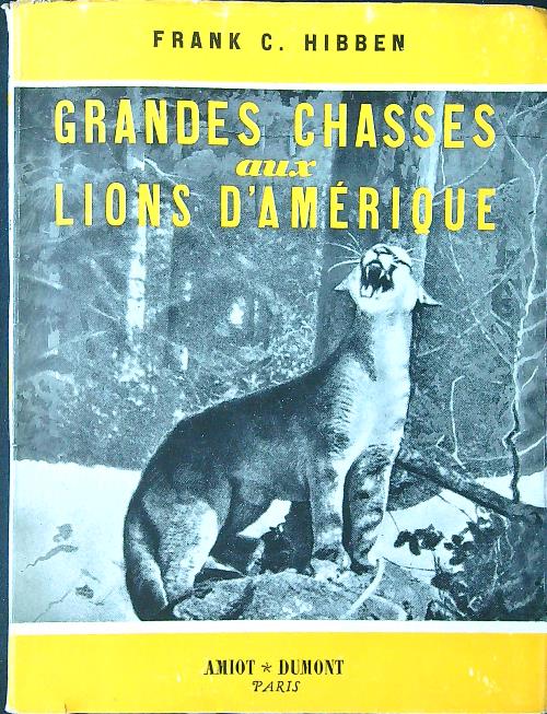Grand chasses aux lions d'Amerique