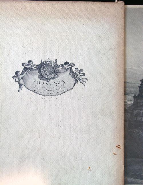 Il Castello del Valentino