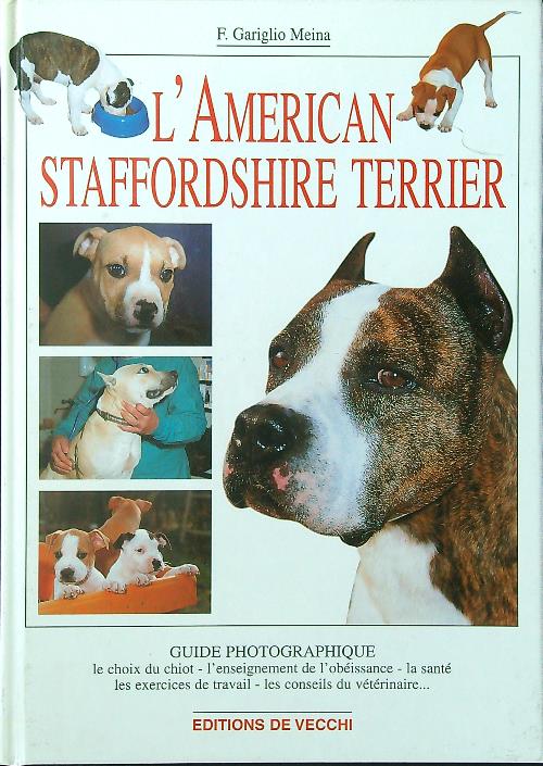 L'American Staffordshire terrier