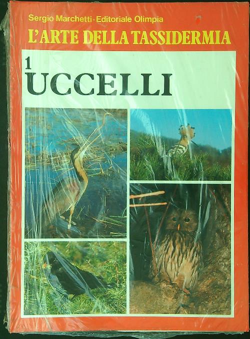 L'arte della tessidermia 1 Uccelli