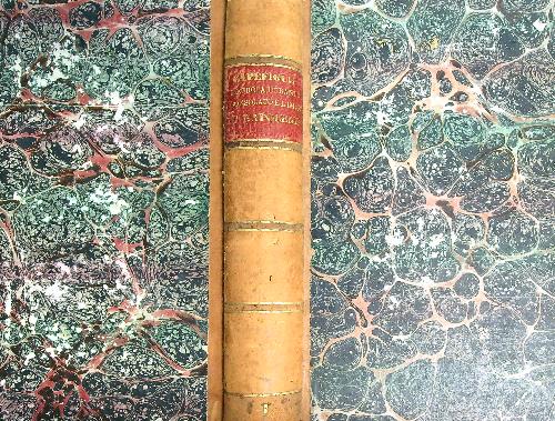 L'Europa durante il Consolato e l'Impero di Napoleone Vol 1