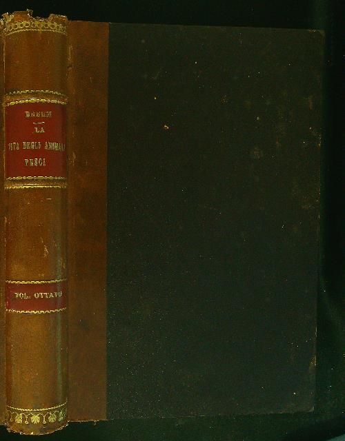 La vita degli animali Pesci Vol Ottavo