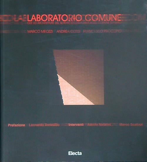 Laboratorio comune