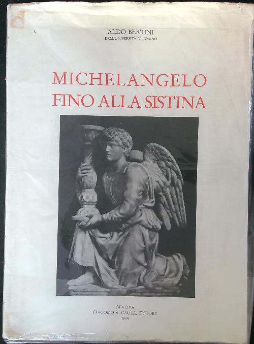 Michelangelo fino alla Sistina