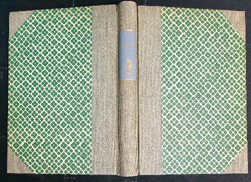 Minuzzolo. Libro per i ragazzi