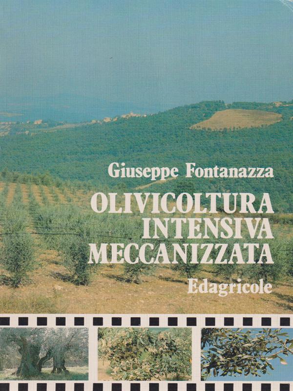 Olivicoltura intensiva meccanizzata