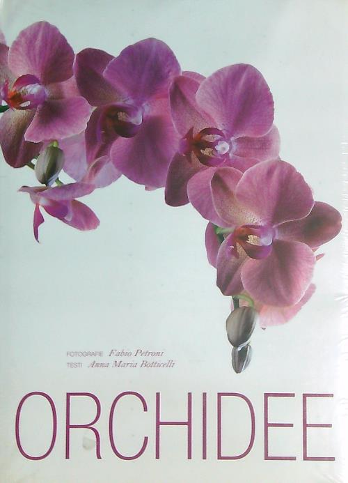Orchidee