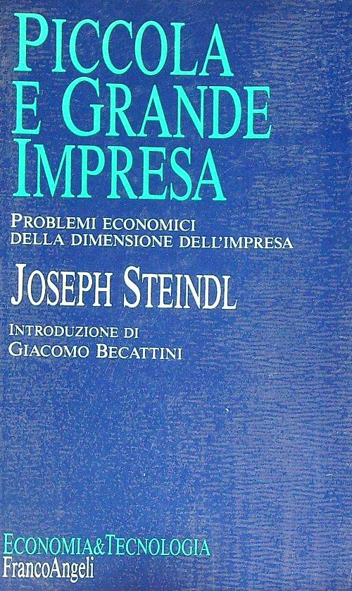 Piccola e grande impresa. Problemi economici della dimensione dell'impresa
